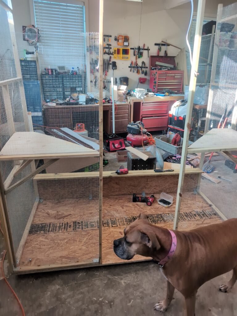 123e48de-9999-4e5b-8dd2-dd09ce5c63c2