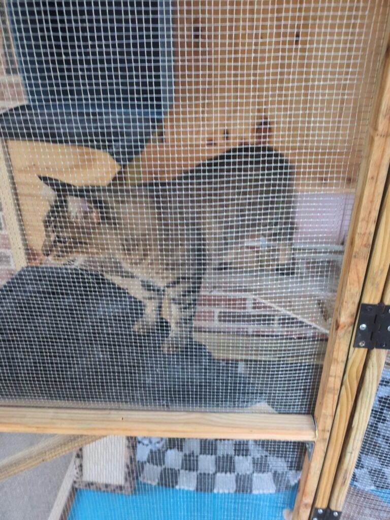 1507ca9b-76fc-4542-aca9-1e1cc2a44cac