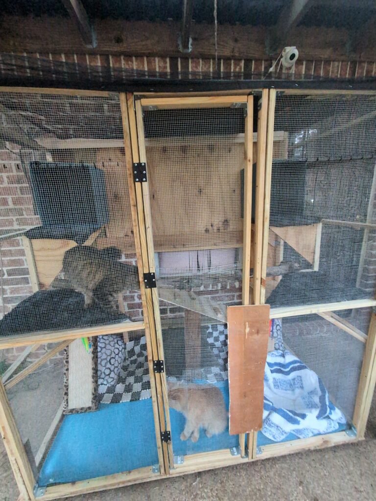 57af9472-1d46-4a36-9a8b-077c6c2753f8