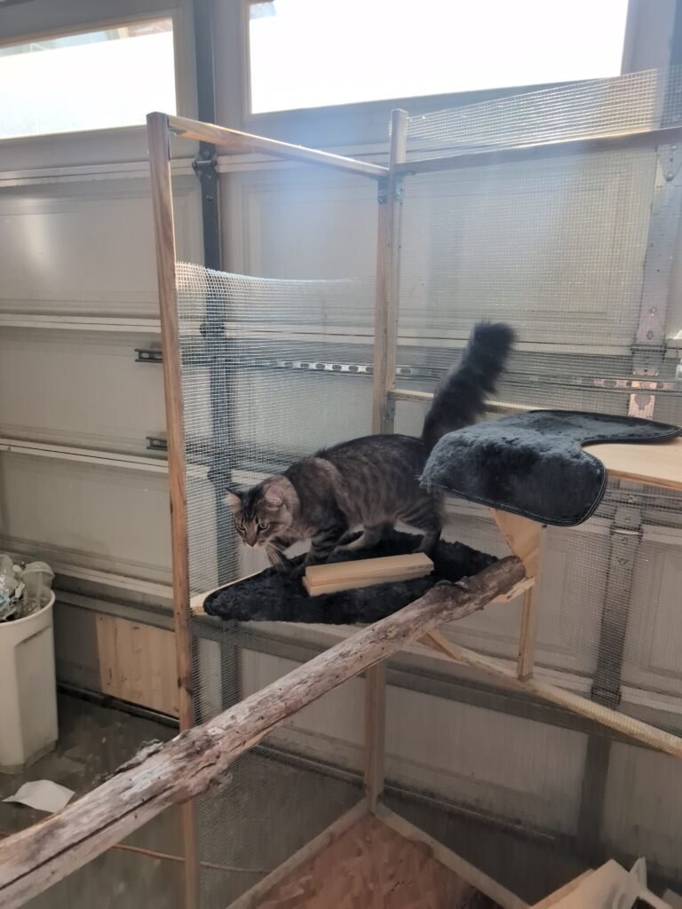 9b70ae6b-abc7-449e-a27a-90e27fcde9ad