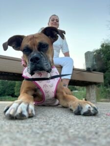 Messenger_creation_02a99227-be2a-4cec-87a9-253648d6b616~2