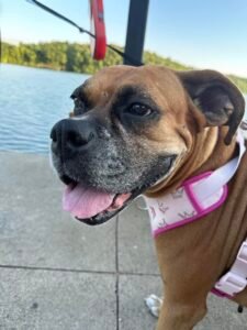 Messenger_creation_f13a97af-6d28-481e-92f5-6a7de2ad3d73~2