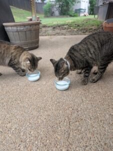 PXL_20250510_223818851