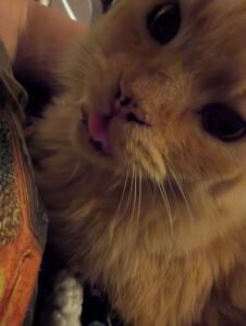 PXL_20250915_005722765