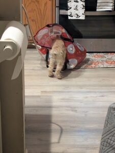 PXL_20251103_001920650