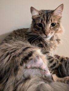 PXL_20260117_004843369