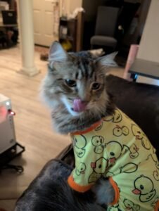 PXL_20260118_121318028.MP